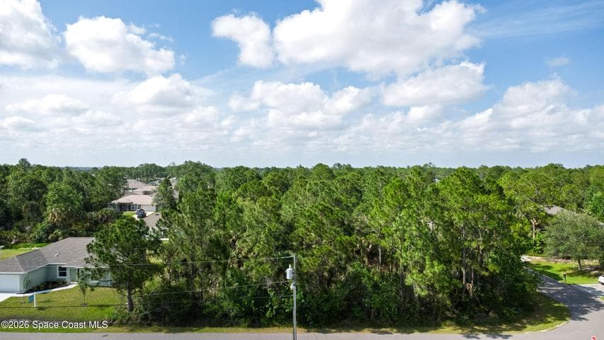 509 Fellenz Street SW, Palm Bay, FL 32908 — photo 4