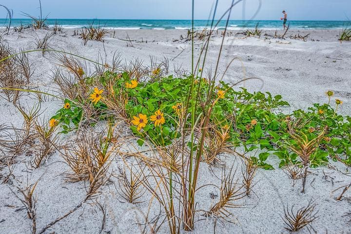 210 Cassia Boulevard, Satellite Beach, FL 32937 — photo 25