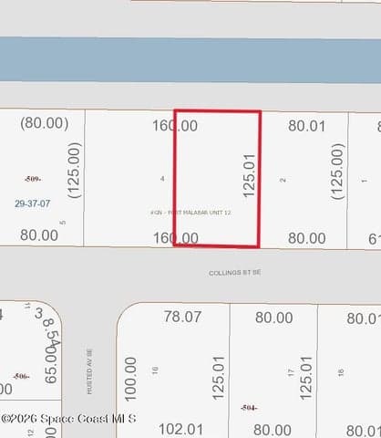 Tbd Collings Street SE, Palm Bay, FL 32909 — photo 2