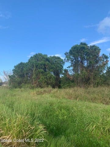 388 Dunlap Avenue SE, Palm Bay, FL 32909 — photo 9