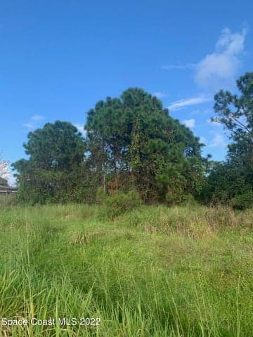 388 Dunlap Avenue SE, Palm Bay, FL 32909 — photo 10
