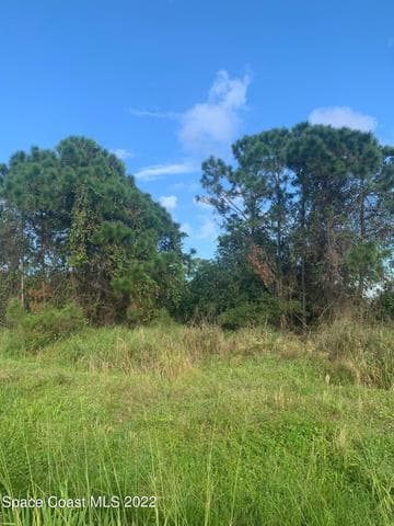 388 Dunlap Avenue SE, Palm Bay, FL 32909 — photo 11