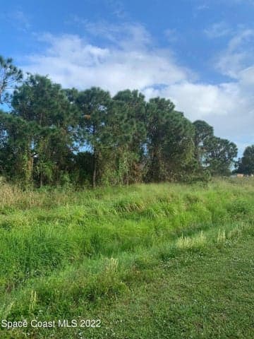 388 Dunlap Avenue SE, Palm Bay, FL 32909 — photo 12
