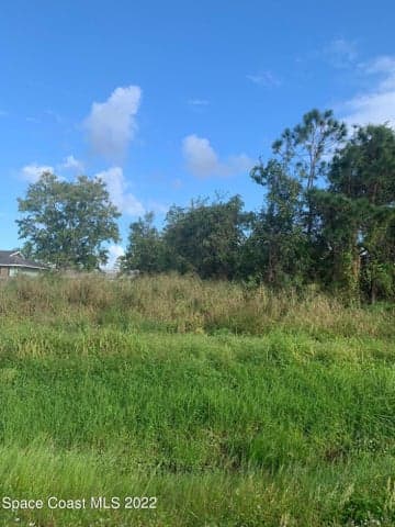 388 Dunlap Avenue SE, Palm Bay, FL 32909 — photo 13