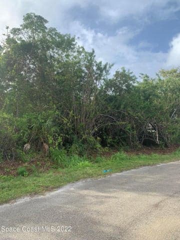 388 Dunlap Avenue SE, Palm Bay, FL 32909 — photo 2