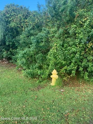 761 Indigo Street SE, Palm Bay, FL 32909 — photo 4