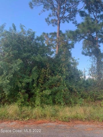 761 Indigo Street SE, Palm Bay, FL 32909 — photo 5
