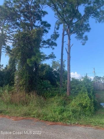 761 Indigo Street SE, Palm Bay, FL 32909 — photo 6