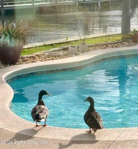 400 Port Royal Boulevard, Satellite Beach, FL 32937 — photo 10