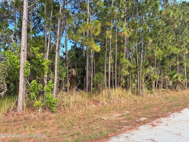 0 SE Ulster/Union Street SE, Palm Bay, FL 32909 — photo 2
