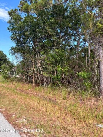 0 SE Ulster/Union Street SE, Palm Bay, FL 32909 — photo 3