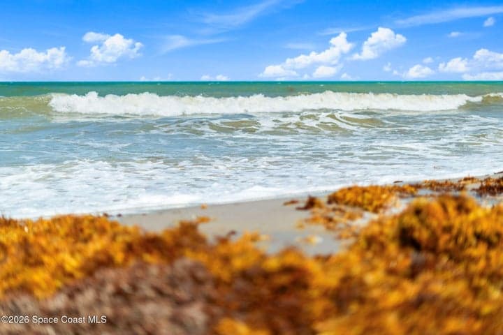 130 Roosevelt Avenue #107, Satellite Beach, FL 32937 — photo 22