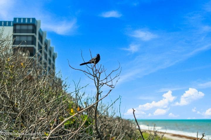 130 Roosevelt Avenue #107, Satellite Beach, FL 32937 — photo 25