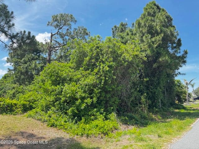 2172 Rockabye Avenue SE, Palm Bay, FL 32909 — photo 2