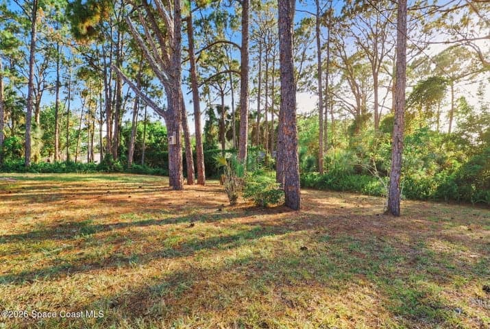 852 Lamplighter Drive NW, Palm Bay, FL 32907 — photo 29
