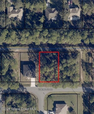 491 Tobias Street SE, Palm Bay, FL 32909
