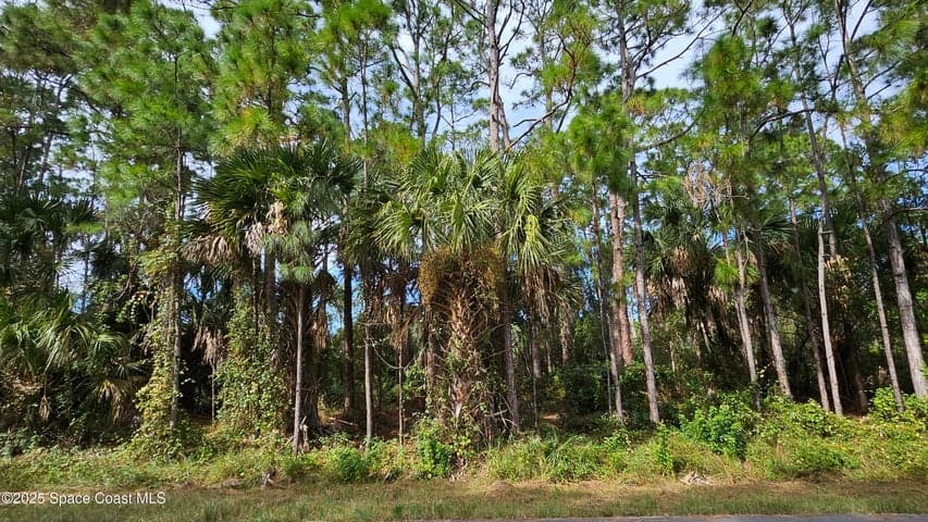 817 Reading Street SE, Palm Bay, FL 32909