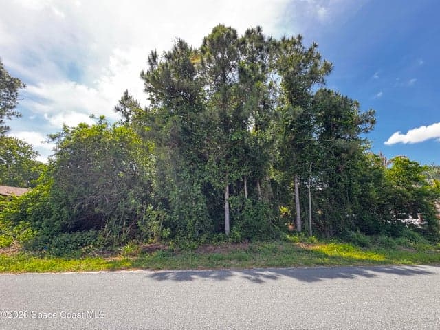 2172 Rockabye Avenue SE, Palm Bay, FL 32909